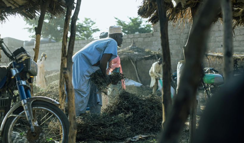 Community Impact & Livelihood Development